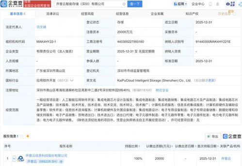 開普云斥資2億元成立智能存儲(chǔ)公司，戰(zhàn)略布局AI與軟件開發(fā)新賽道
